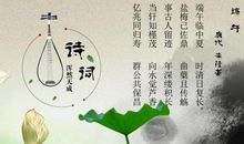 关于端午节的诗歌_100字