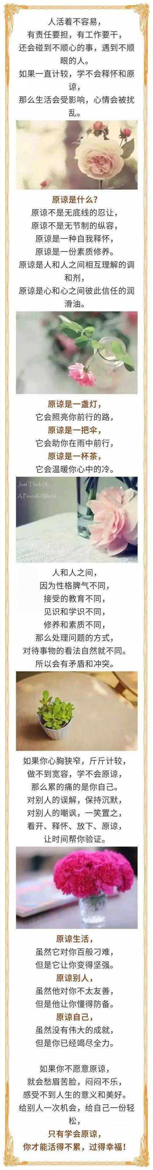 学会原谅_800字