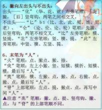 我的小学中文老师_700字