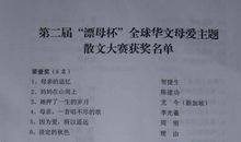 高一叙事散文：最美父爱_900字