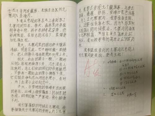 初中秋季郊游作文：九寨沟秋季郊游_600字