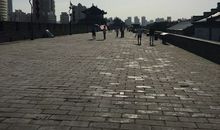 暑假游西安_2000字