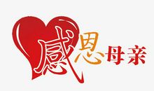 感恩母亲_700字