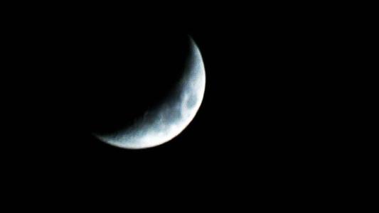 _900字月光下的宁静之夜