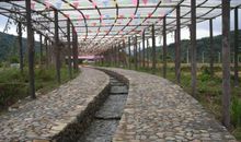 怎样让作文变得情趣盎然