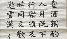 高一叙事散文：月下独酌_800字