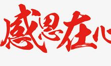 我感恩我爱师_650字