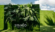 虚无的缥缈_650字