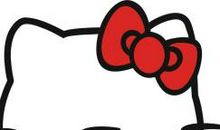 可爱的小花猫_350字