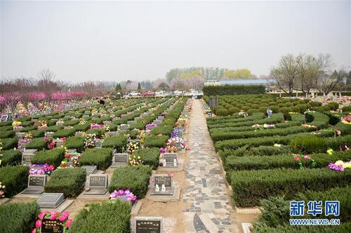 [清明节]在潮湿的土地上，有不变的爱_1200字