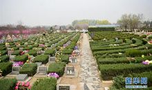 【清明节】湿润的土地下，埋着不变的爱_1200字