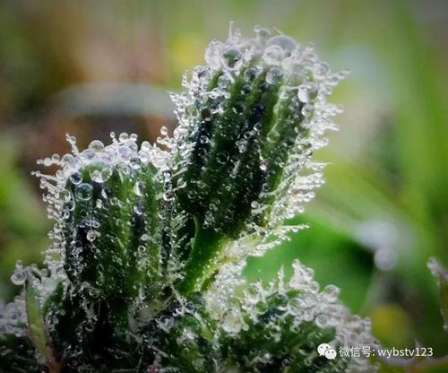 发现Spring_400个单词