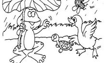 一年级看图写话：放青蛙_300字