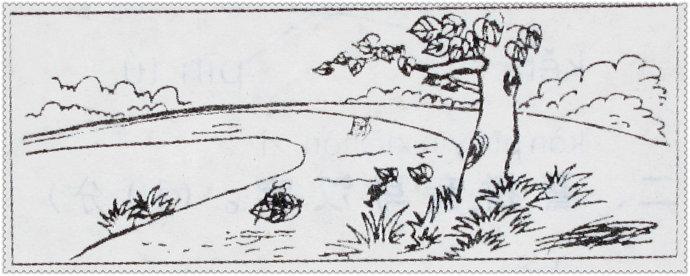 小学一年级看图写字：蚂蚁过河_300字