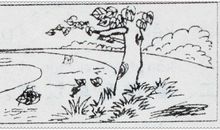 一年级看图写话：蚂蚁过河_300字