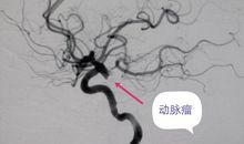 【清明节】落花飞絮清明节_1000字