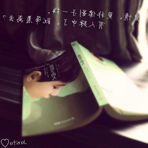 读完《影子窃贼》后的感想_900字