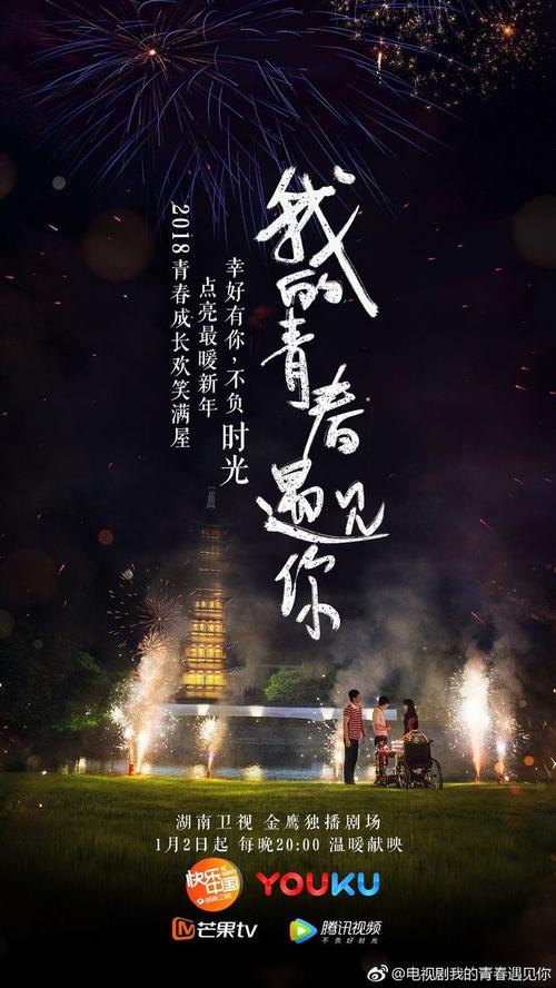 我的青春，只有这样喜欢它_900字