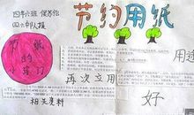 爱护环境，从我做起_800字