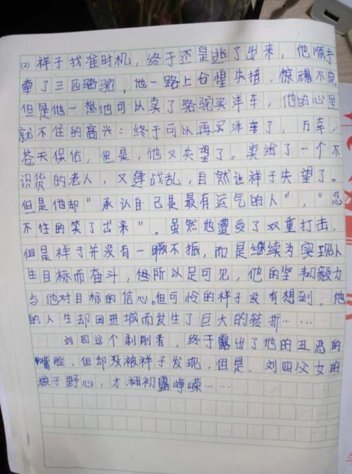 读完一年级后的感受：读《骆驼相子》 _1200字
