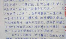 初一读后感作文：读《骆驼祥子》有感_1200字