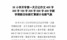 我有我的方式_600字