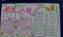 关于感恩的作文：感恩“晴天娃娃”_750字