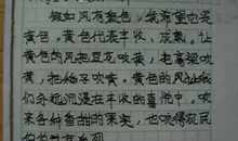 假如风有颜色_200字