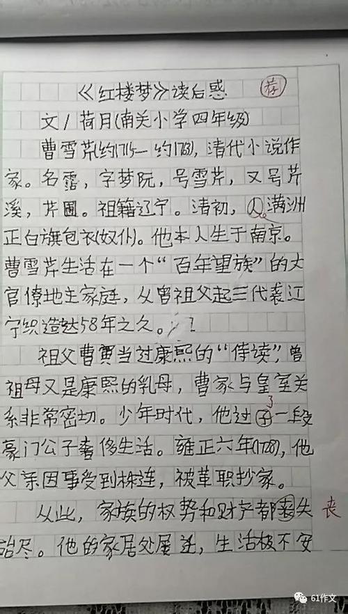 看完一年级的作文：《红楼梦》人物探索_650字