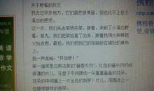 关于冰雪的作文_450字