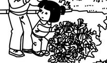 一年级看图写话：贪吃的小鸡_150字