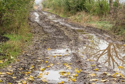 茅盾青年艺术学院优秀作品：泥泞之路