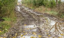 茅盾青少年文学院海选优秀作品：哪里是泥泞，哪里就是路