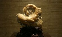 留日学子顾永清的获奖感言