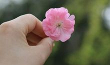 等你的季节_1200字