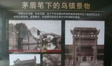 茅盾青少年文学院海选优秀作品：雨落乌镇