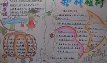 植树造林环保手抄报