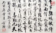 茅盾青少年文学院海选优秀作品：我的鸿鹄之志