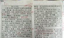 春蕾杯一等奖作文选：《奶奶的泪》