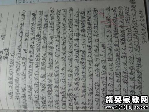 阅读_600字后的“树”