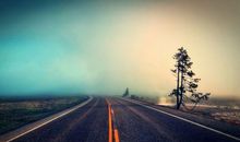 自己的人生道路_900字