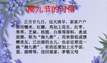 浓浓拗九节，深深感恩情_1500字