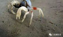 换个角度看环保_800字