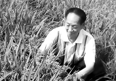 读《杂交水稻之父袁隆平》后的思考_500字