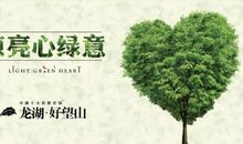 做一名爱绿护绿小卫士_400字