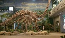 游自贡恐龙博物馆_750字