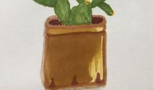 茅盾青少年文学院海选优秀作品：仙人掌