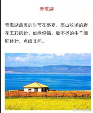关于小姐的构图：Garden子花盛开，小姐变成一海_800字