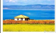 关于思念的作文：栀子花开，思念成海_800字