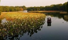 品读大自然_700字